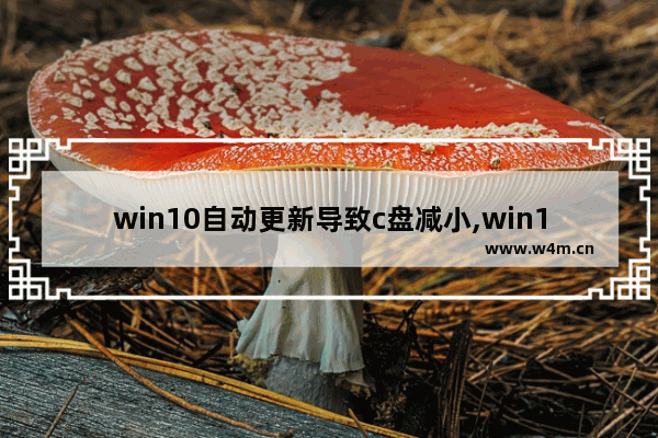 win10自动更新导致c盘减小,win10c盘占用率100%