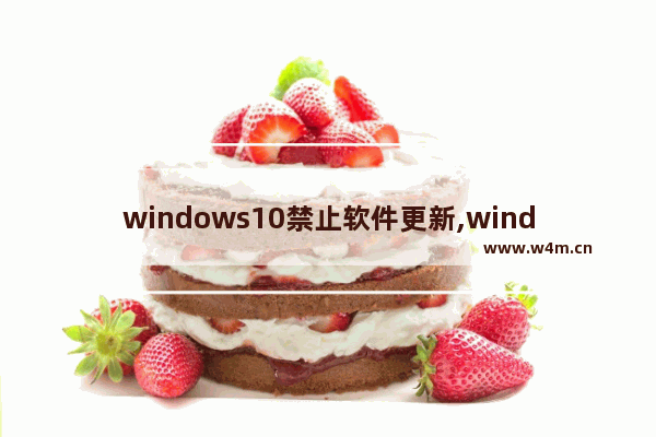 windows10禁止软件更新,windows10禁止更新