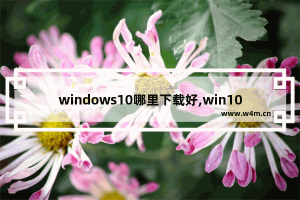 windows10哪里下载好,win10系统在哪里下载好