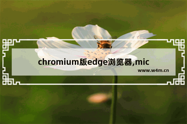 chromium版edge浏览器,microsoft edge是chrome浏览器吗