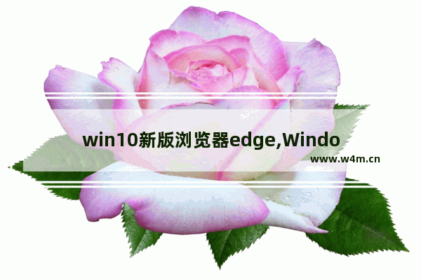 win10新版浏览器edge,Windows的edge浏览器