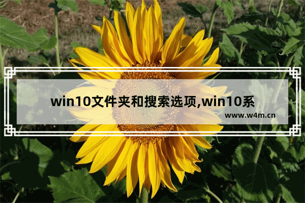 win10文件夹和搜索选项,win10系统怎么找文件夹选项