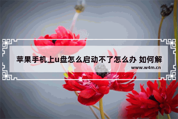 苹果手机上u盘怎么启动不了怎么办 如何解决苹果手机U盘启动问题