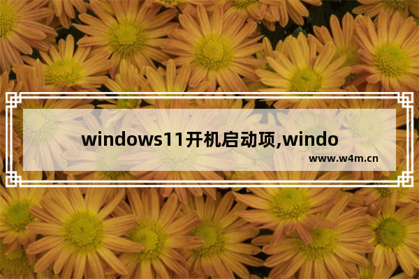 windows11开机启动项,windows10启动过程