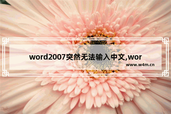 word2007突然无法输入中文,word2016中无法输入中文