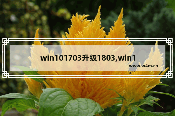 win101703升级1803,win10 1709升级1803