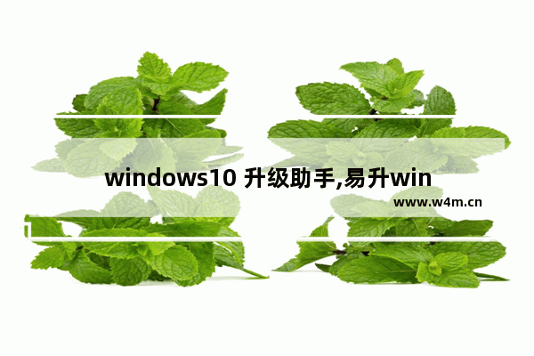 windows10 升级助手,易升win10升级助手_1