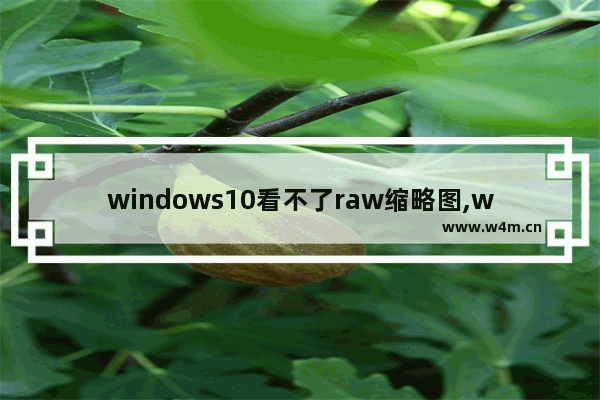 windows10看不了raw缩略图,win10无法显示缩略图预览