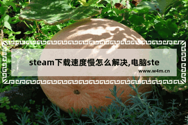 steam下载速度慢怎么解决,电脑steam下载速度慢是什么原因