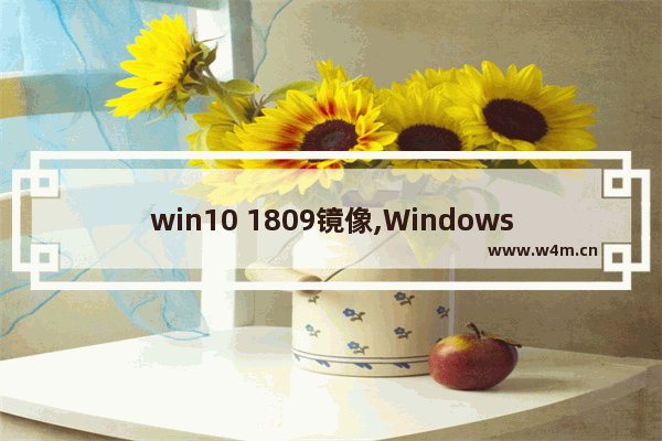 win10 1809镜像,Windows 10 Build 19041