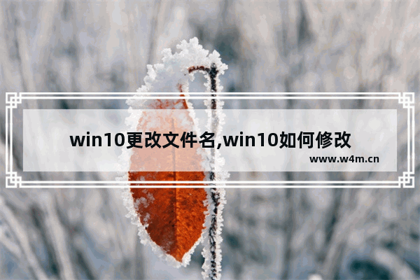 win10更改文件名,win10如何修改文件名