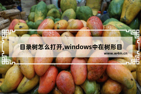 目录树怎么打开,windows中在树形目录结构下