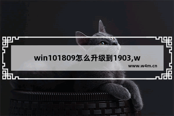 win101809怎么升级到1903,win10怎么升级1903