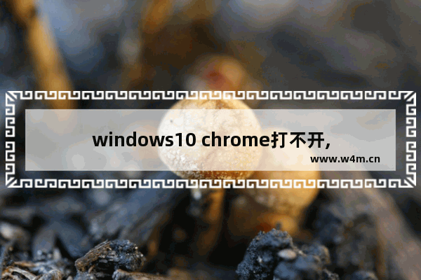 windows10 chrome打不开,win10无法运行谷歌浏览器