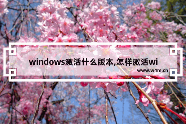 windows激活什么版本,怎样激活windows10系统版本