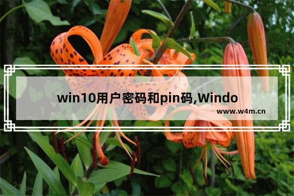 win10用户密码和pin码,Windows10 的PIN密码是什么-如何设置和取消PIN