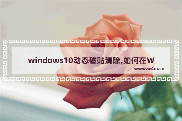 windows10动态磁贴清除,如何在Windows 11中恢复动态磁贴