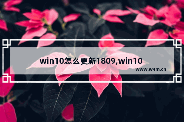 win10怎么更新1809,win10 1809怎么关闭自动更新