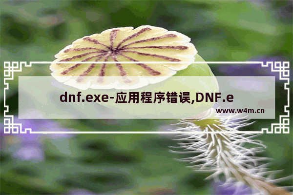 dnf.exe-应用程序错误,DNF.exe