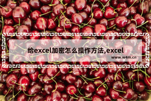 给excel加密怎么操作方法,excel加密怎么加密