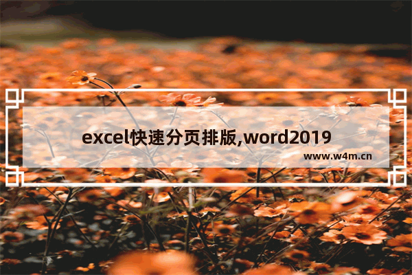 excel快速分页排版,word2019如何分页