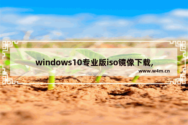 windows10专业版iso镜像下载,win10正版iso镜像下载