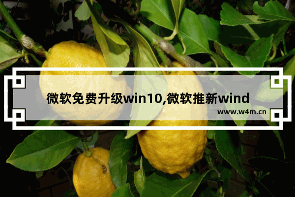 微软免费升级win10,微软推新windows系统