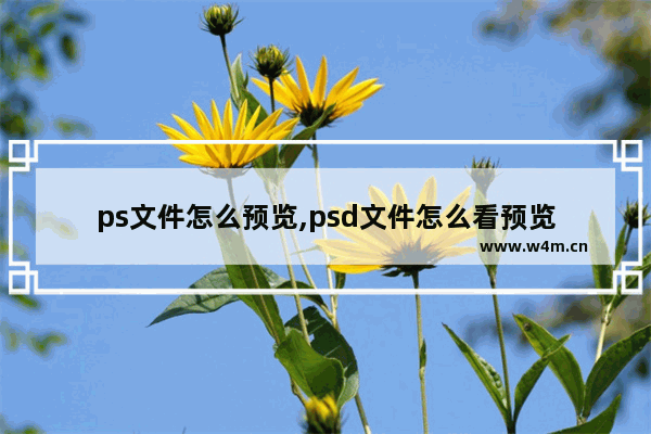 ps文件怎么预览,psd文件怎么看预览