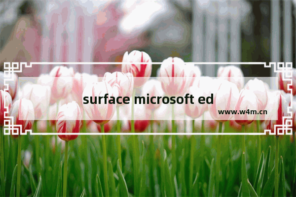 surface microsoft edge打不开,surface无法打开浏览器