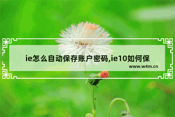 ie怎么自动保存账户密码,ie10如何保存账号密码