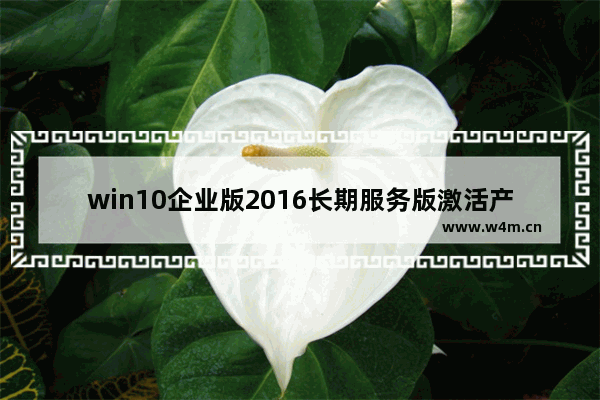 win10企业版2016长期服务版激活产品密钥,windows10升级输入产品密钥无效