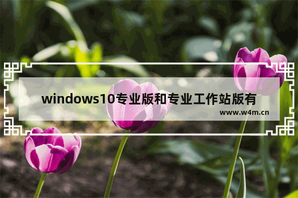 windows10专业版和专业工作站版有什么区别,win10专业版和专业工作站版有什么区别