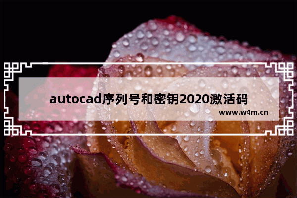 autocad序列号和密钥2020激活码,autocad2019序列号和密钥激活码