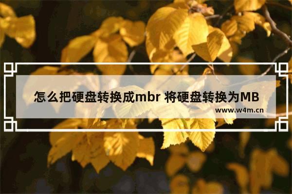 怎么把硬盘转换成mbr 将硬盘转换为MBR格式