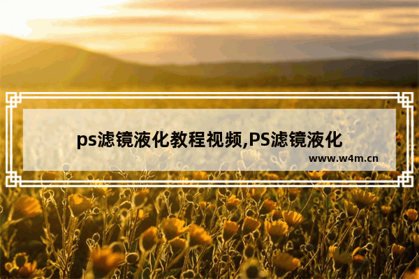 ps滤镜液化教程视频,PS滤镜液化