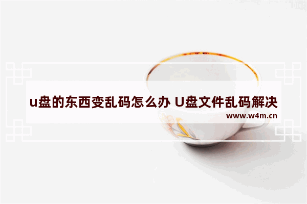 u盘的东西变乱码怎么办 U盘文件乱码解决方法