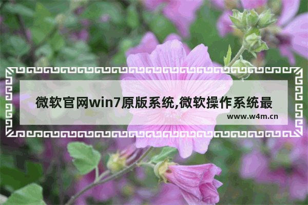 微软官网win7原版系统,微软操作系统最新版本