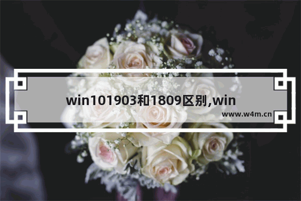 win101903和1809区别,windows10 1809是什么版本