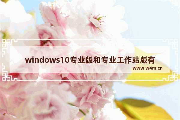 windows10专业版和专业工作站版有什么区别,win10专业版和专业工作站版有什么区别