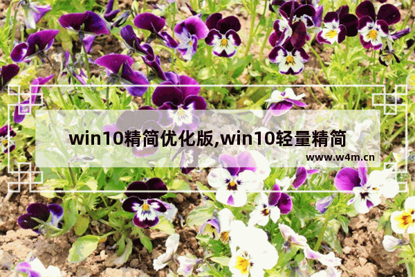 win10精简优化版,win10轻量精简版