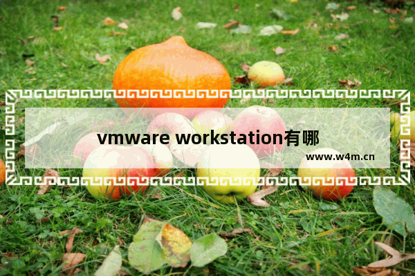 vmware workstation有哪些版本,VMware 最新版本