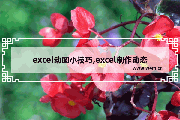 excel动图小技巧,excel制作动态图的步骤