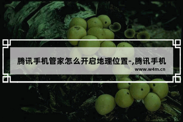 腾讯手机管家怎么开启地理位置-,腾讯手机管家如何定位对方手机位置