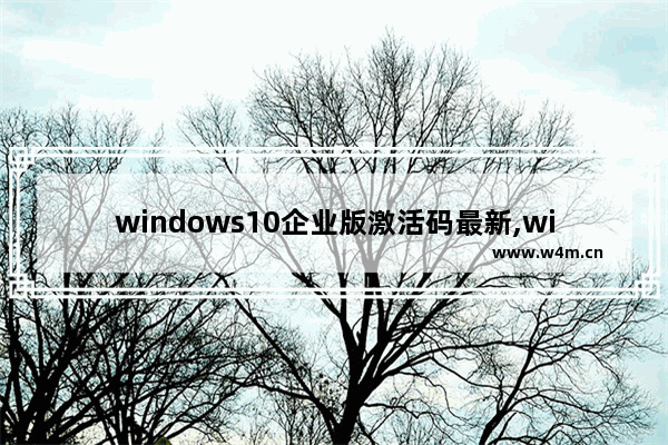 windows10企业版激活码最新,win10企业中文版永久激活码