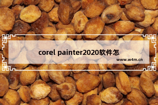 corel painter2020软件怎么换成中文,Corel Painter下载