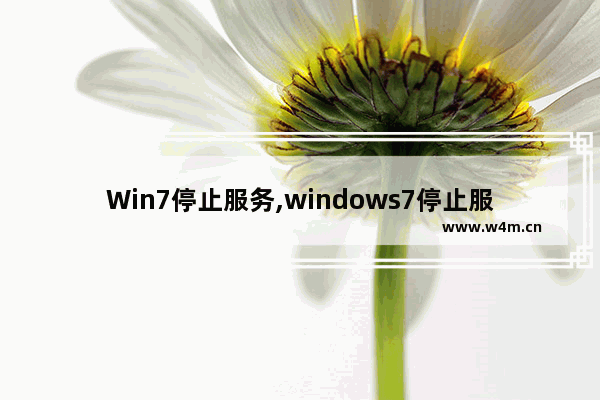 Win7停止服务,windows7停止服务会怎么样