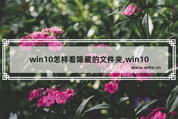 win10怎样看隐藏的文件夹,win10怎么看到隐藏文件夹