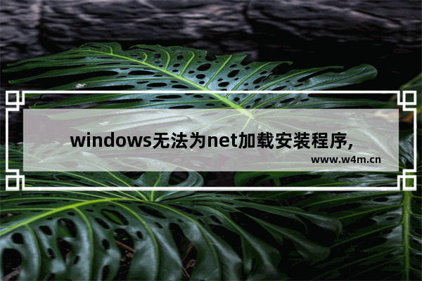 windows无法为net加载安装程序,net安装显示无法启动服务