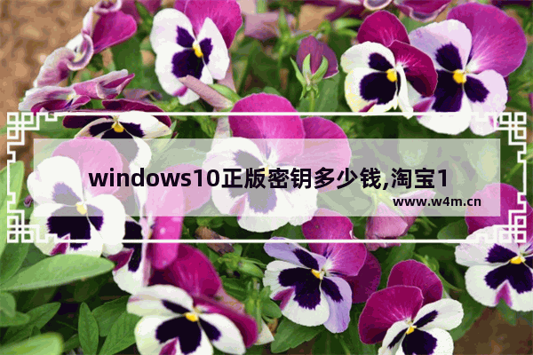 windows10正版密钥多少钱,淘宝15块钱的win10专业版密钥是不是正版-