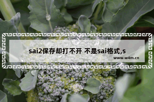 sai2保存却打不开 不是sai格式,sai为什么无法打开文件